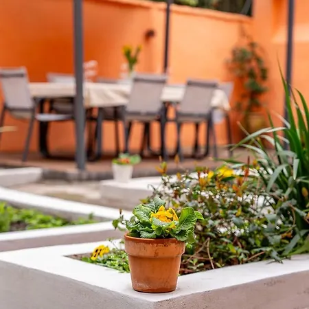 Centre - Beautiful With Garden Bolonia